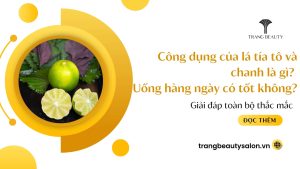 Tất tần tật công dụng của lá tía tô và chanh