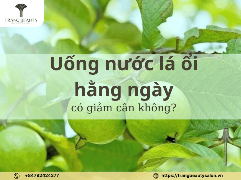 Uống nước lá ổi giảm cân vào lúc nào tốt nhất